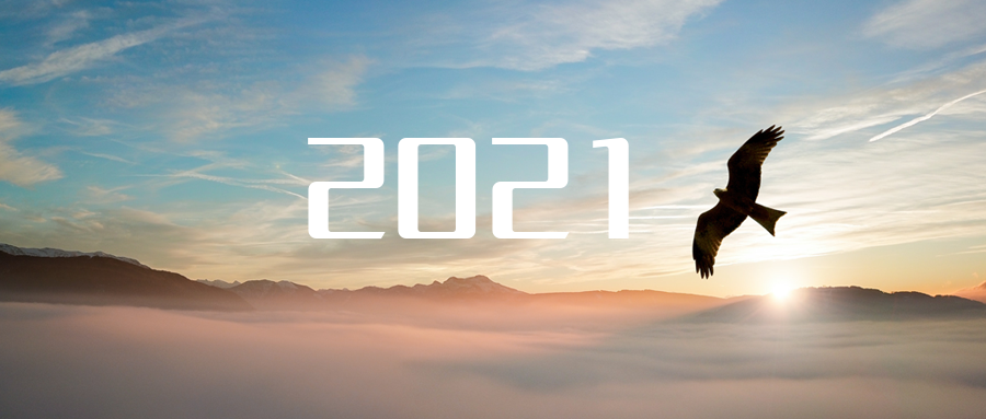 乘“峰”而上，智“盈”未来 ——2021年尊龙凯时环境高级资深副总裁新年开工动员